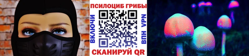 Псилоцибиновые грибы прущие грибы  Купить где  Артём 